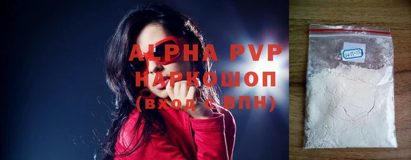 прущие грибы Новодвинск