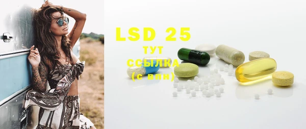 стафф Новозыбков