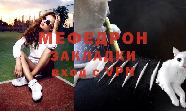 прущие грибы Новодвинск