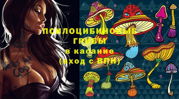 гашик Абаза