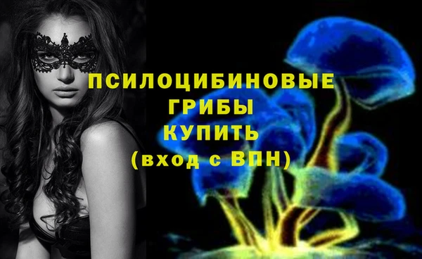 гашик Абаза